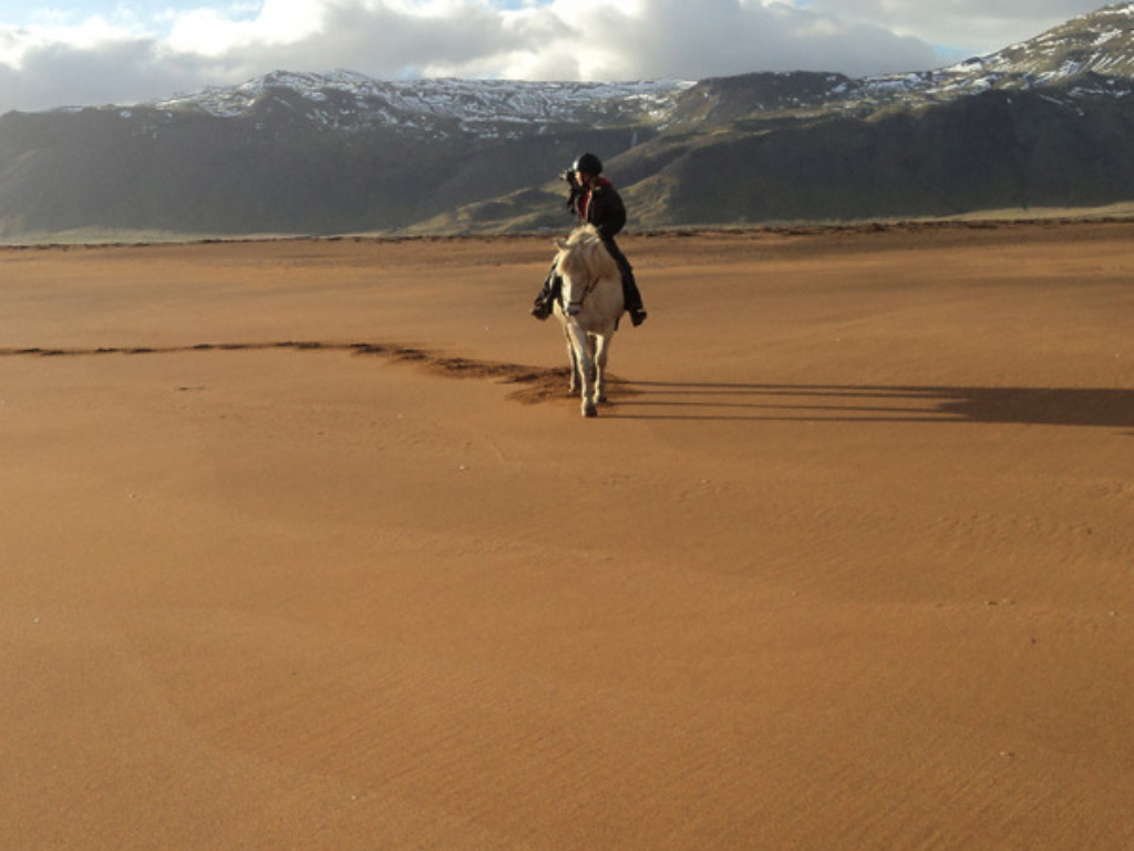 Snaefellsnes Equestrian Odyssey 02